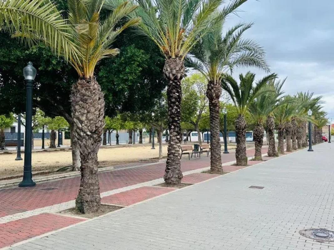 Terreno en venta en Elche / Elx, Alicante photo 5