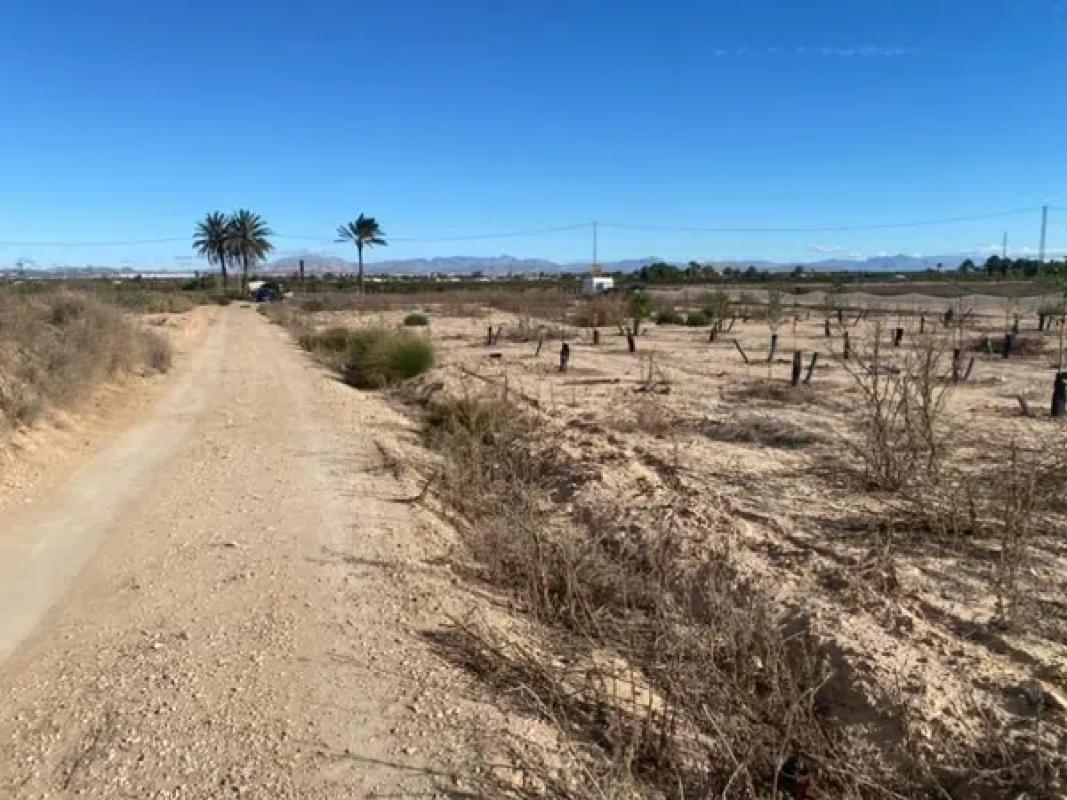 Działka na sprzedaż w Elche / Elx, Alicante photo 1