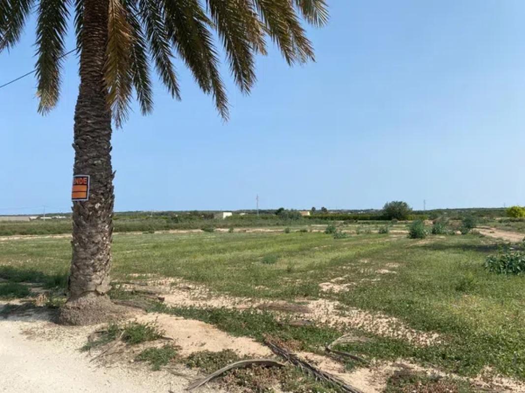 Działka na sprzedaż w Elche / Elx, Alicante photo 3