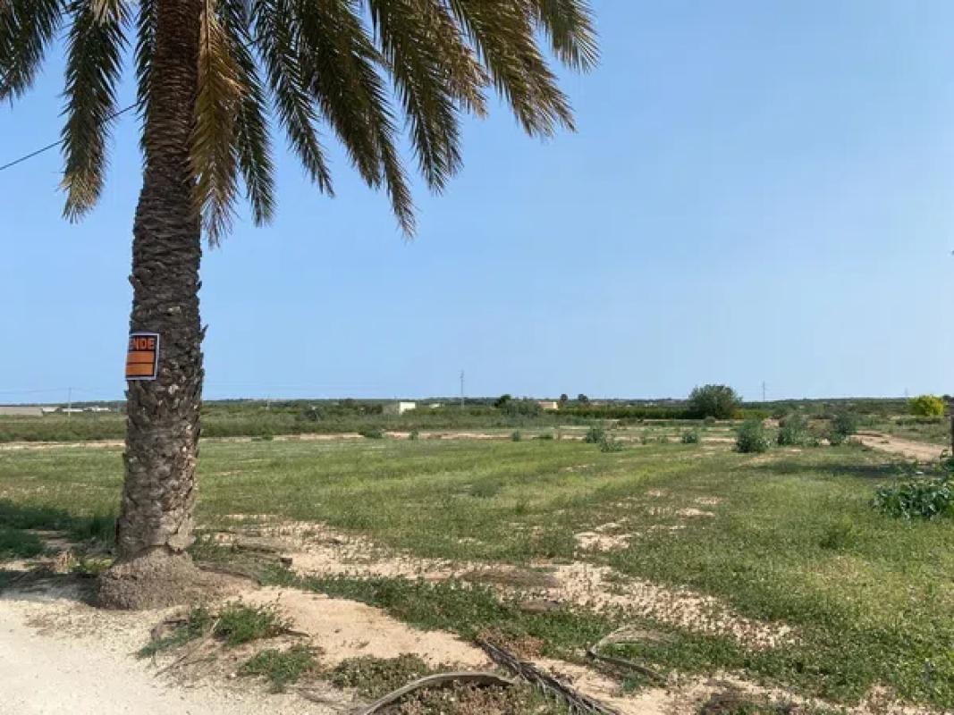 Działka na sprzedaż w Elche / Elx, Alicante photo 4