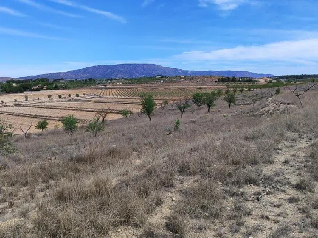 Terreno en venta en Pinoso, Alicante photo 2