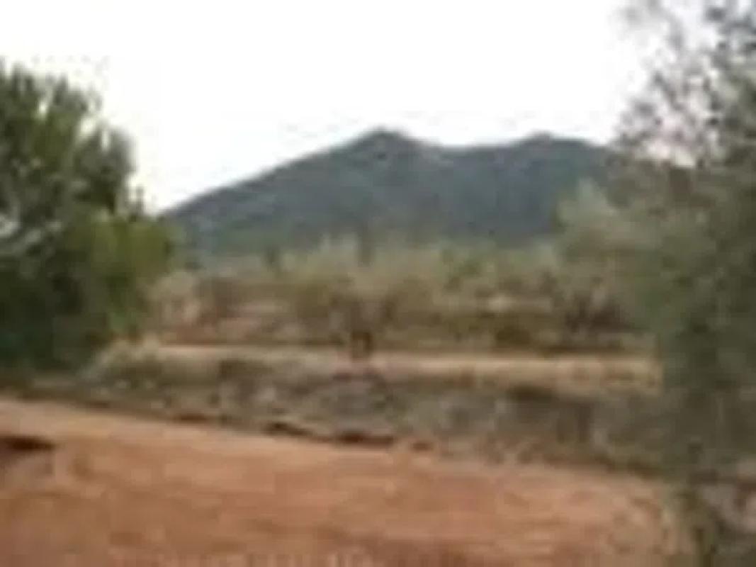 Land for sale in Biar, Alicante photo 3