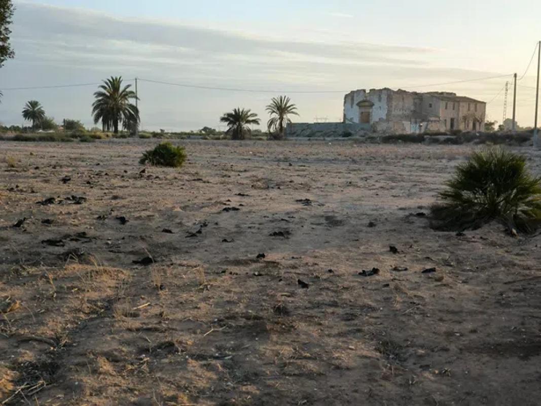 Terreno en venta en Elche / Elx, Alicante photo 2