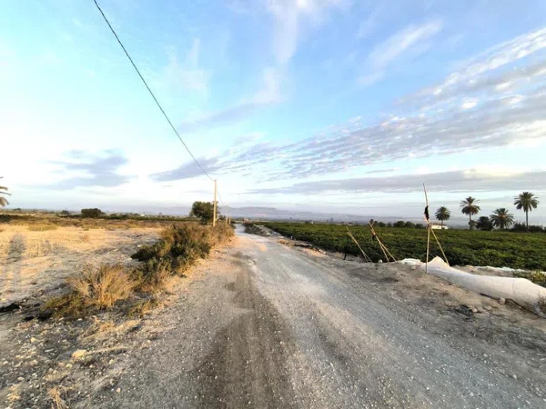 Terreno en venta en Elche / Elx, Alicante photo 3