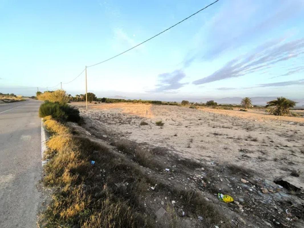 Terreno en venta en Elche / Elx, Alicante photo 5