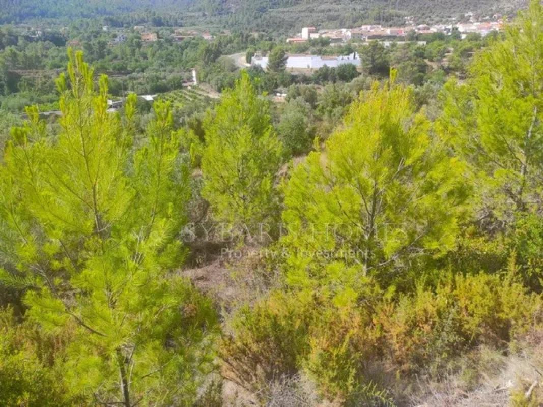 Terreno en venta en Benichembla, Alicante photo 1