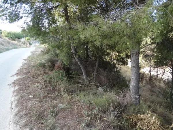 Terreno en calle Barrella s/n photo 4