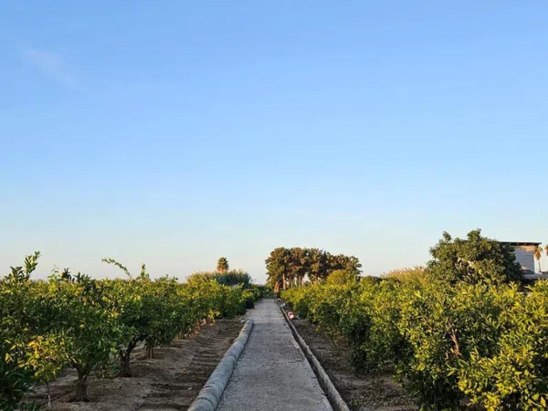 Terreno en venta en Pego, Alicante photo 2