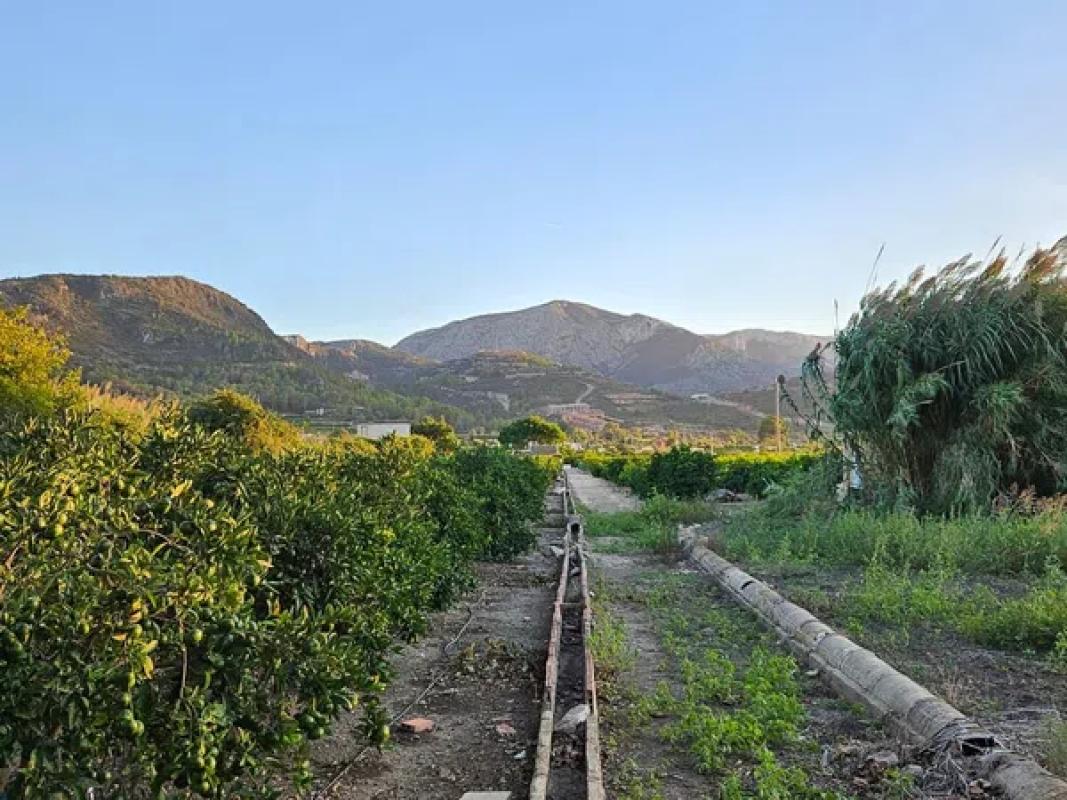 Terreno en venta en Pego, Alicante photo 4
