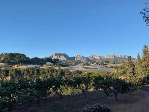 Terreno en Callosa d'En Sarria photo 1
