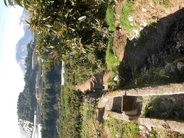 Terreno en Callosa d'En Sarria thumbnail 2