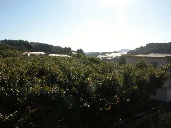 Terreno en Callosa d'En Sarria photo 4