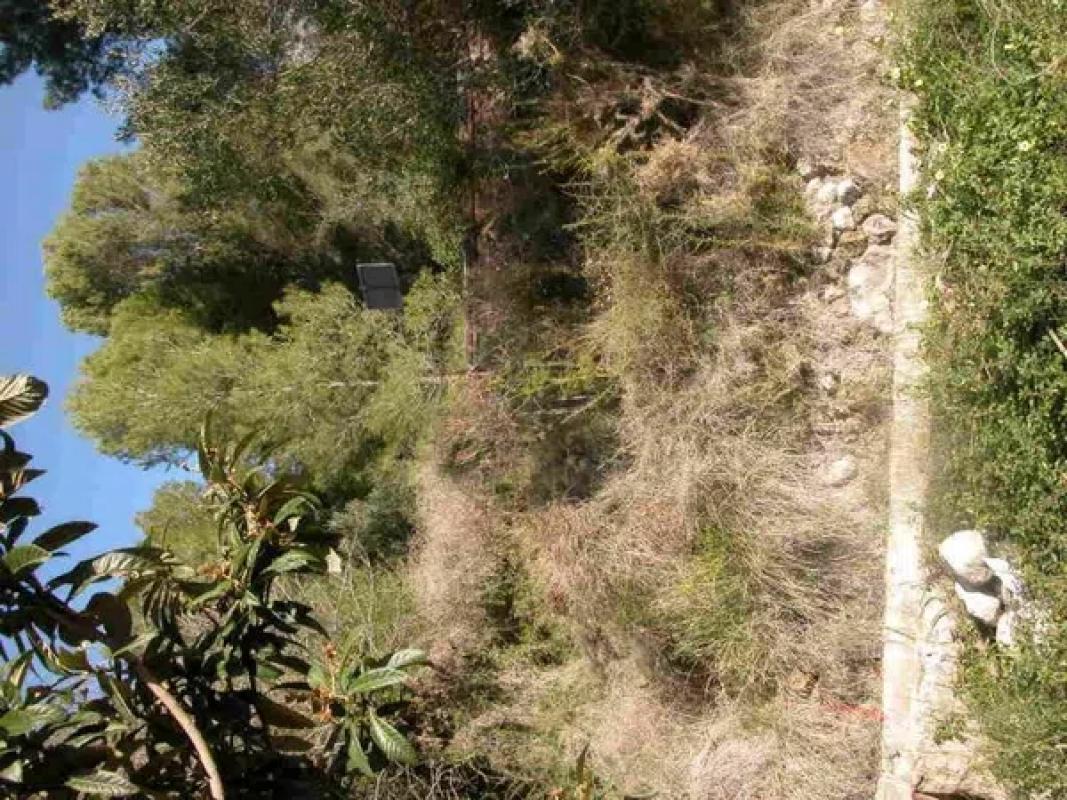 Terreno en venta en Callosa d''En Sarria, Alicante photo 5