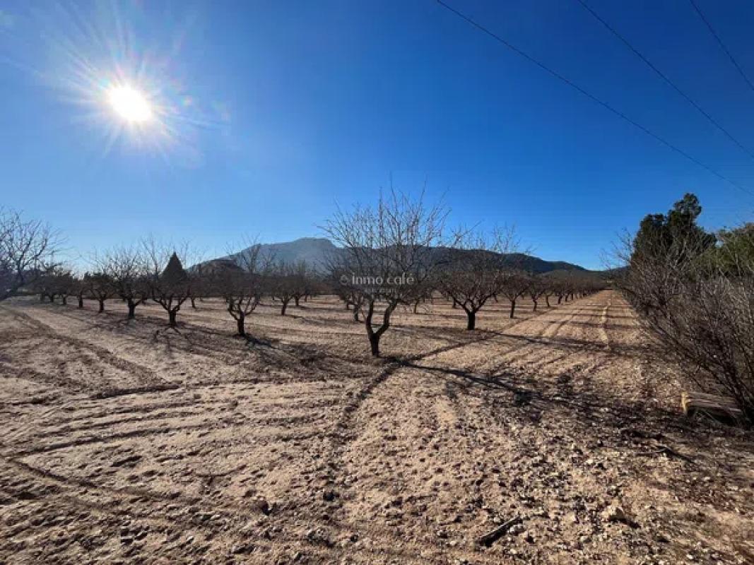 Terreno en venta en Villena, Alicante photo 2