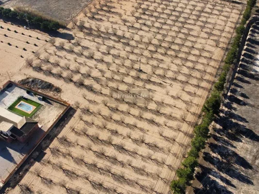 Terreno en venta en Villena, Alicante photo 3