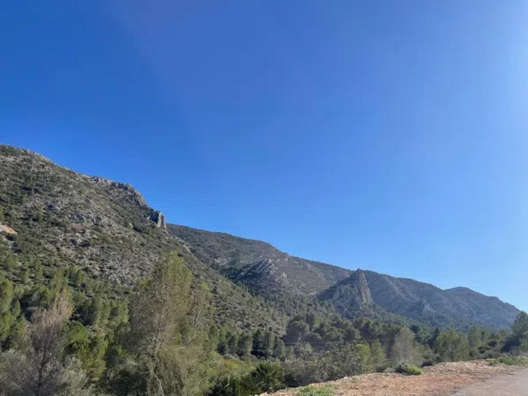 Terreno en venta en Pedreguer, Alicante photo 5