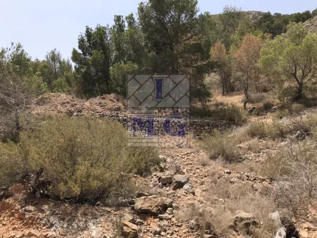 Участок земли на продажу в Ориуэла, Аликанте photo 3