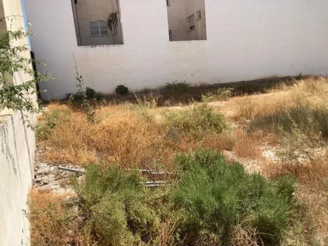 Land for sale in Mutxamel, Alicante photo 3