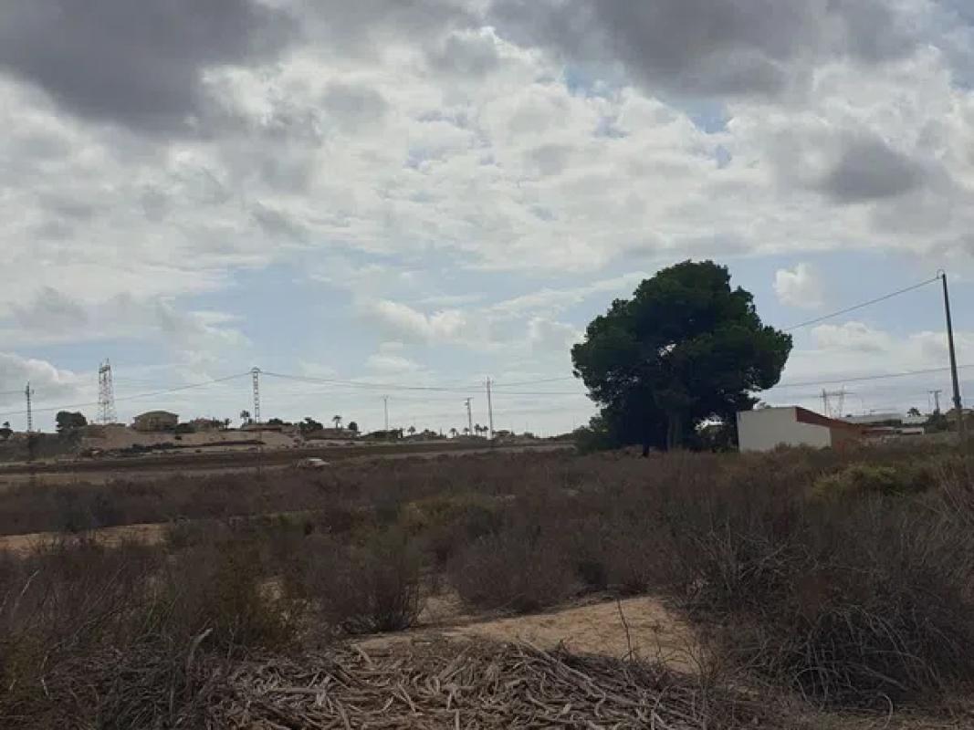 Działka na sprzedaż w Elche / Elx, Alicante photo 3