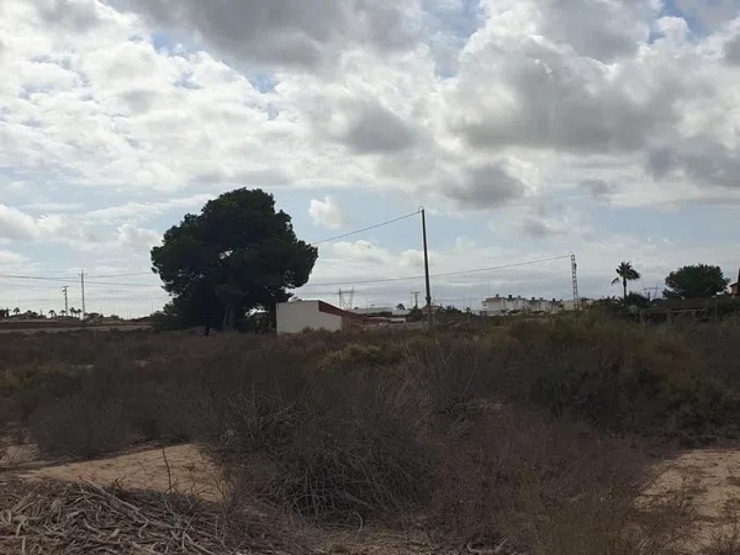 Działka na sprzedaż w Elche / Elx, Alicante photo 4