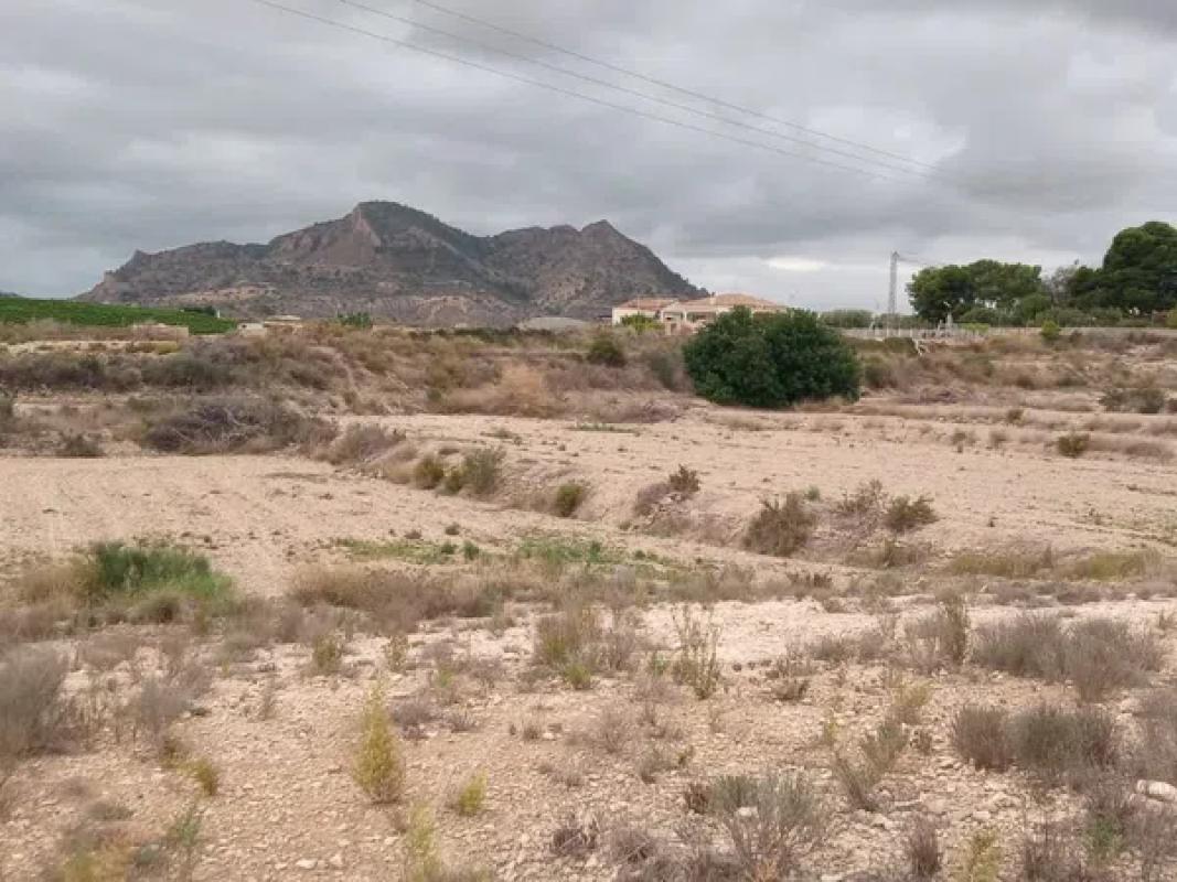 Land for sale in August, Alicante photo 2