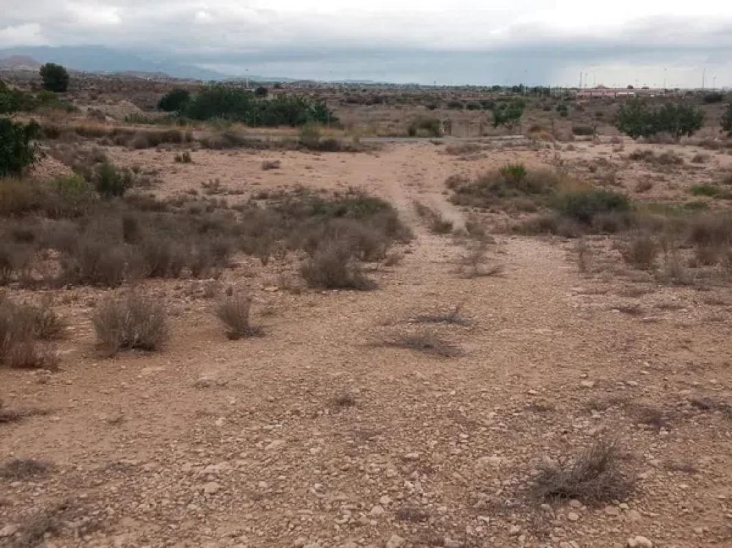 Land for sale in August, Alicante photo 4