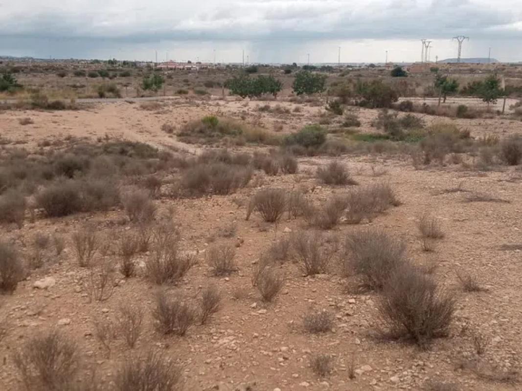 Land for sale in August, Alicante photo 5