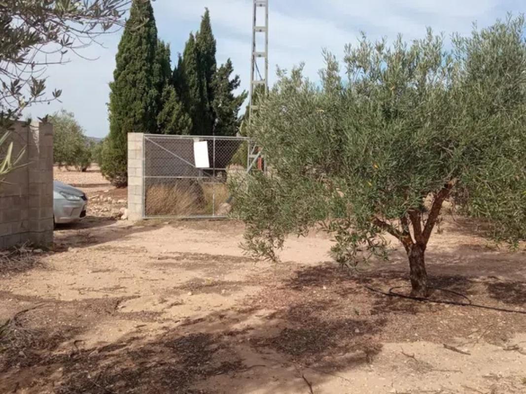 Działka na sprzedaż w Biar, Alicante photo 1