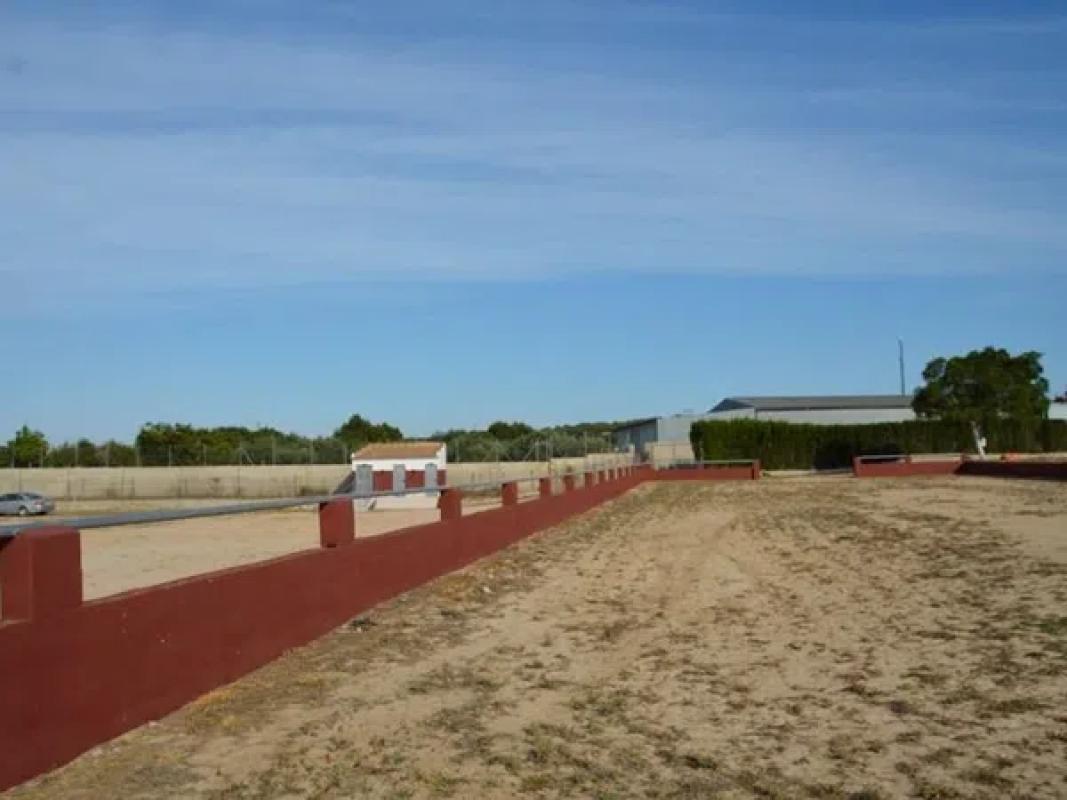 Land for sale in San Miguel de Salinas, Alicante photo 1