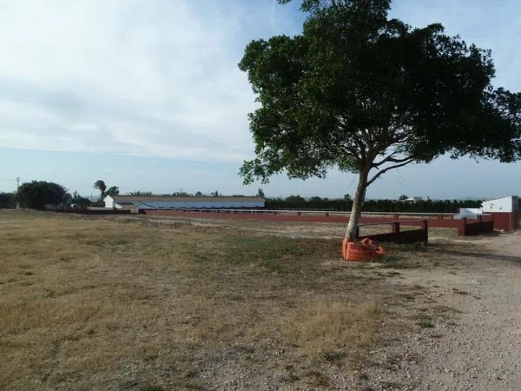 Land for sale in San Miguel de Salinas, Alicante photo 2