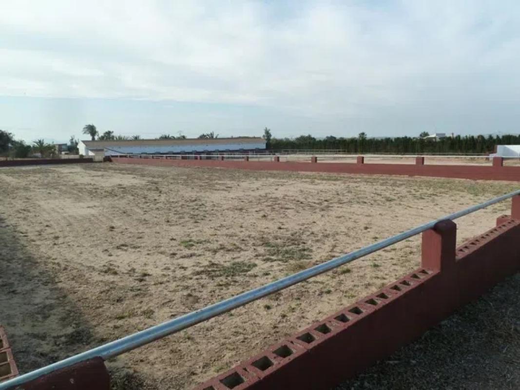 Land for sale in San Miguel de Salinas, Alicante photo 3