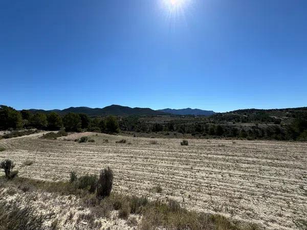 Terreno en Cv-780 s/n photo 1