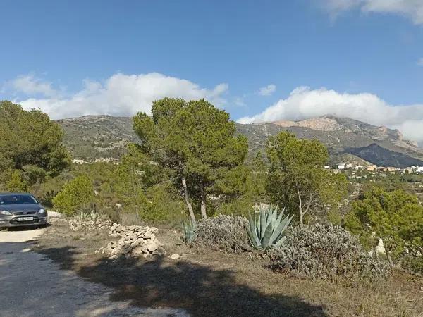 Terreno en Tibi photo 1