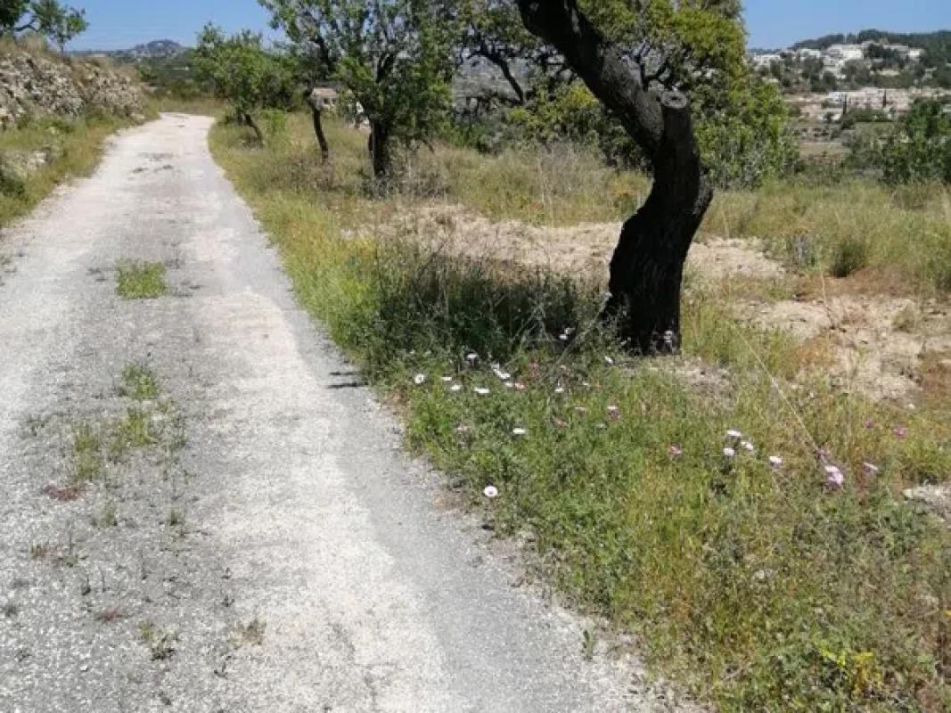 Участок земли на продажу в Кальпе, Аликанте photo 5