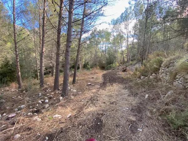 Terreno en via Sense Nom photo 3