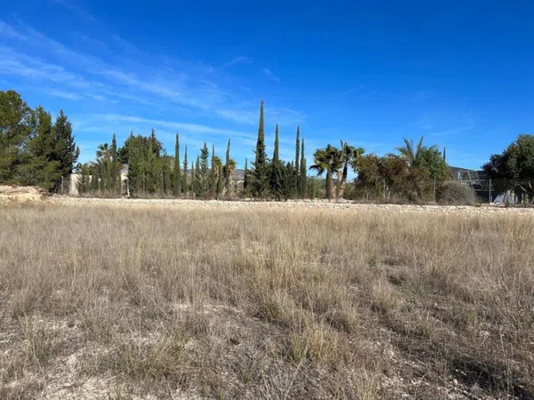 Terreno en venta en La Romana, Alicante photo 3