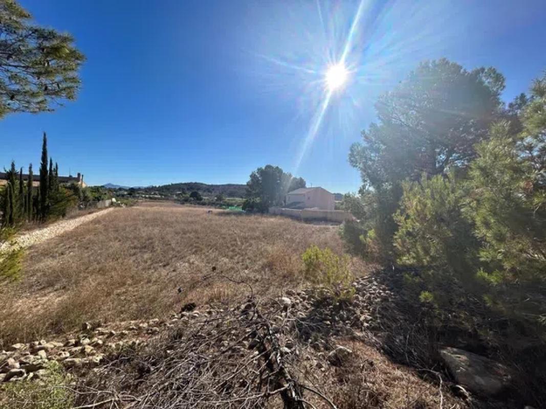 Terreno en venta en La Romana, Alicante photo 5