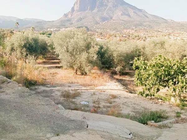 Terreno en El Secanet - Hacienda del Sol photo 2