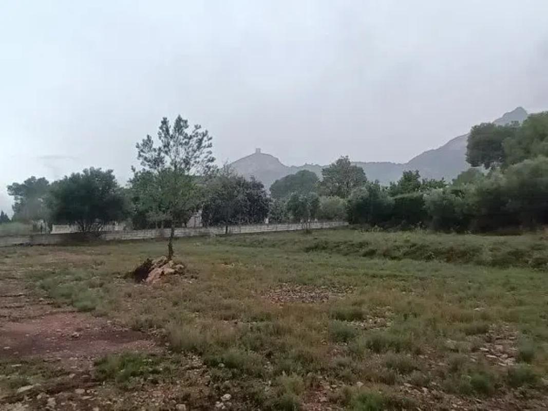 Terreno en venta en Cocentaina, Alicante photo 2