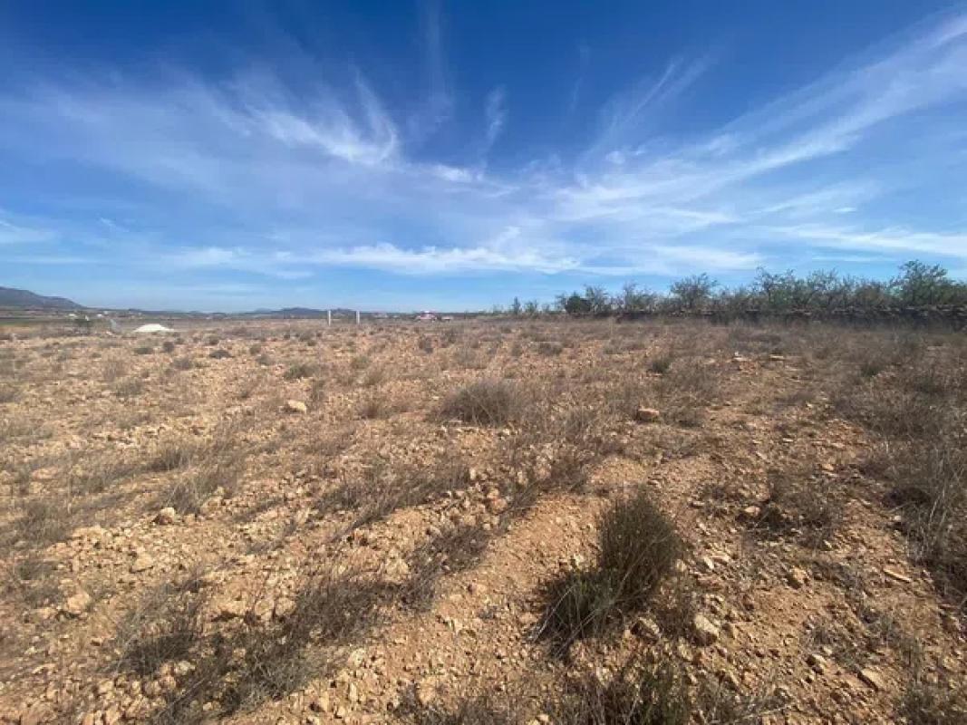 Terreno en venta en Pinoso, Alicante photo 4