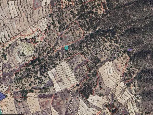Terreno en Monovar photo 2