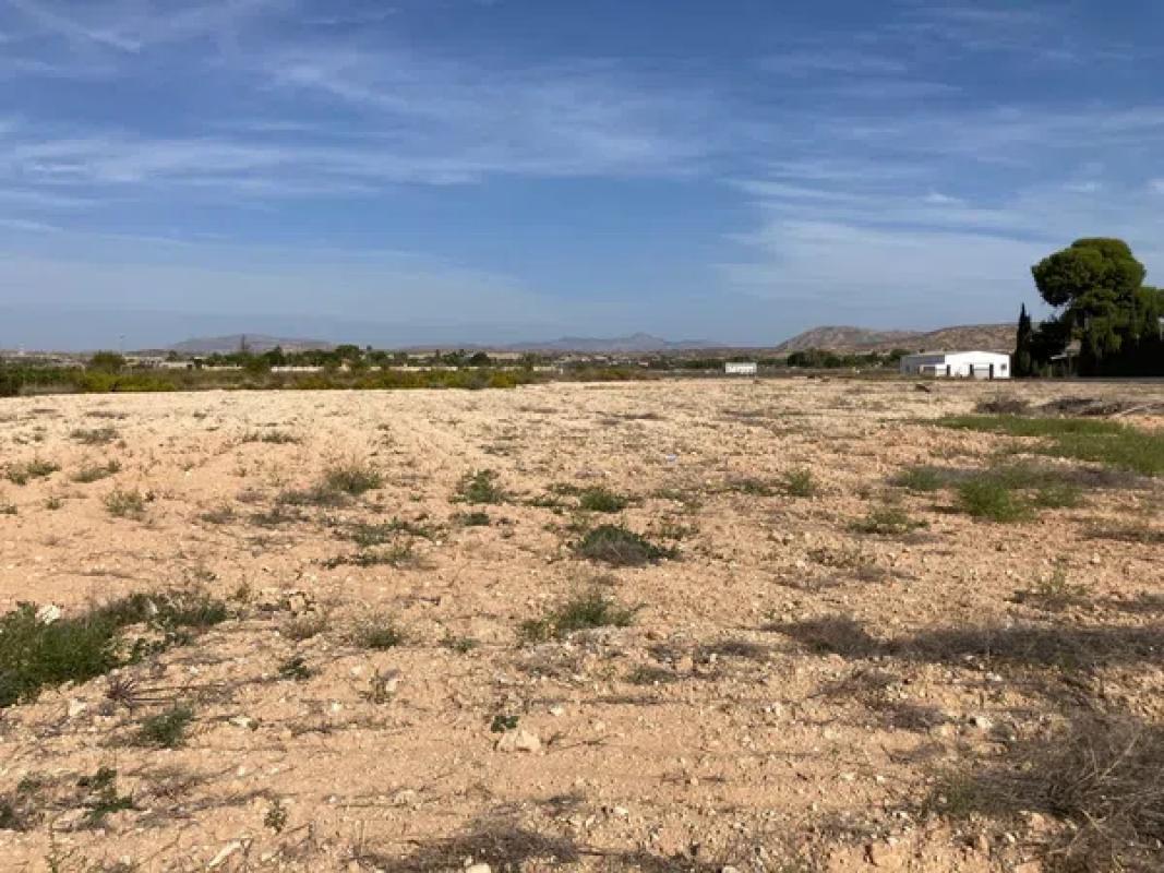 Terreno en venta en Elche / Elx, Alicante photo 3