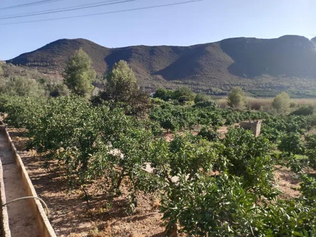 Terreno en venta en Adsubia, Alicante photo 4