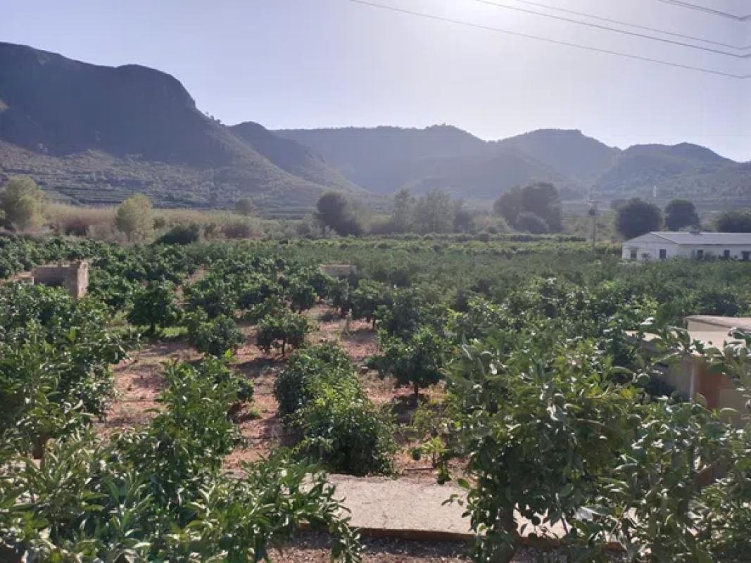 Terreno en venta en Adsubia, Alicante photo 5
