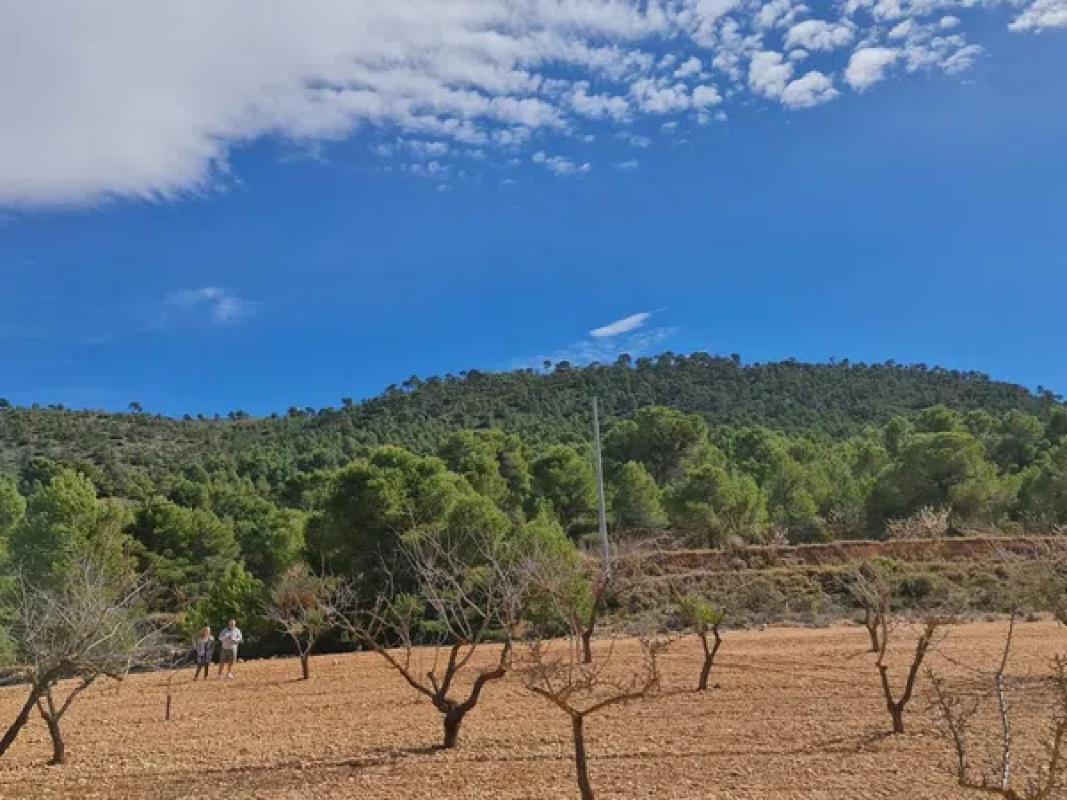 Terreno en venta en Pinoso, Alicante photo 1