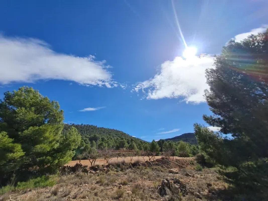 Terreno en venta en Pinoso, Alicante photo 2