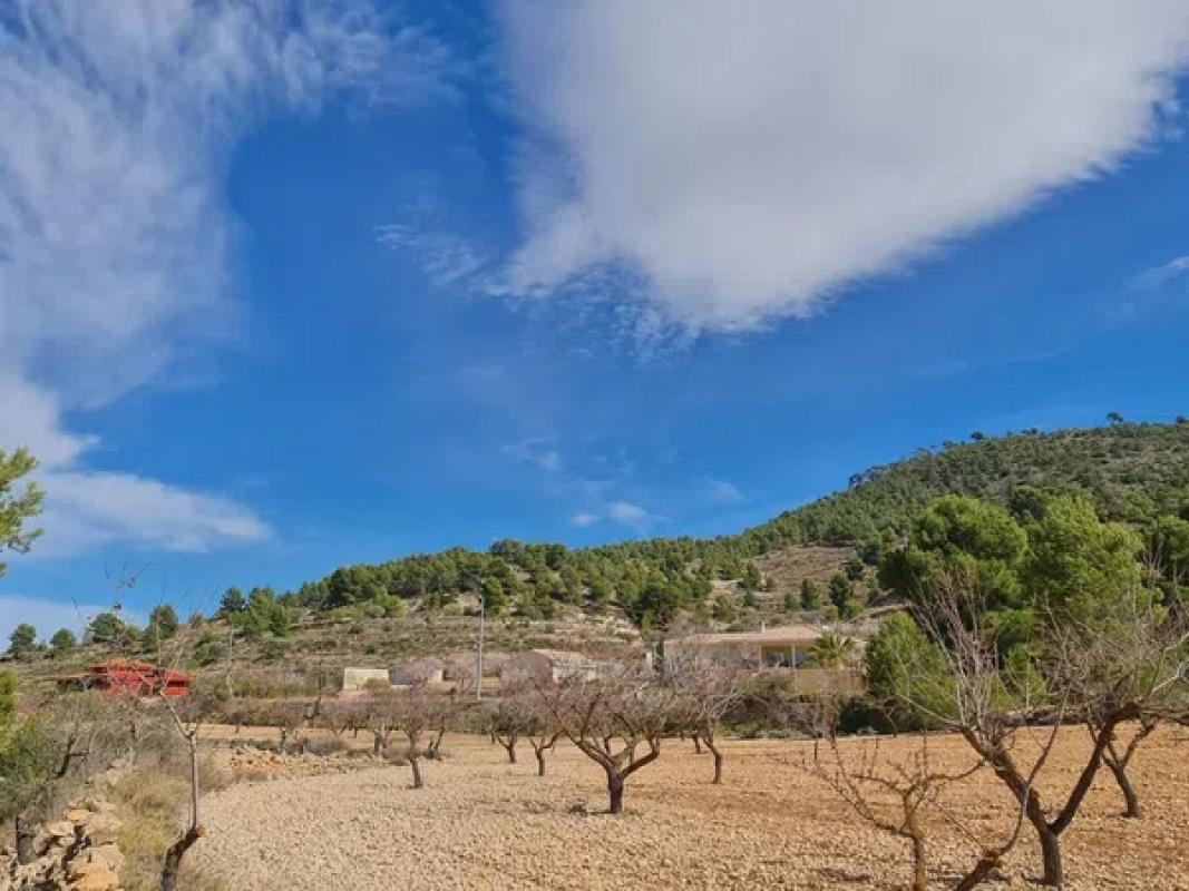 Terreno en venta en Pinoso, Alicante photo 4