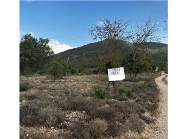 Terreno en Biar photo 2