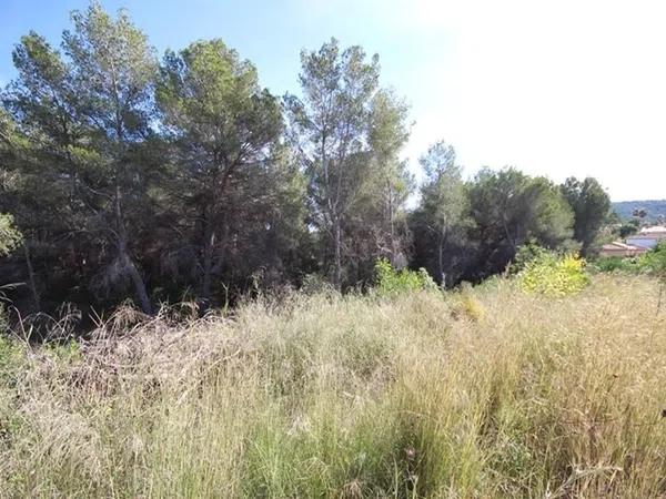 Terreno en Cap Martí - Pinomar photo 2