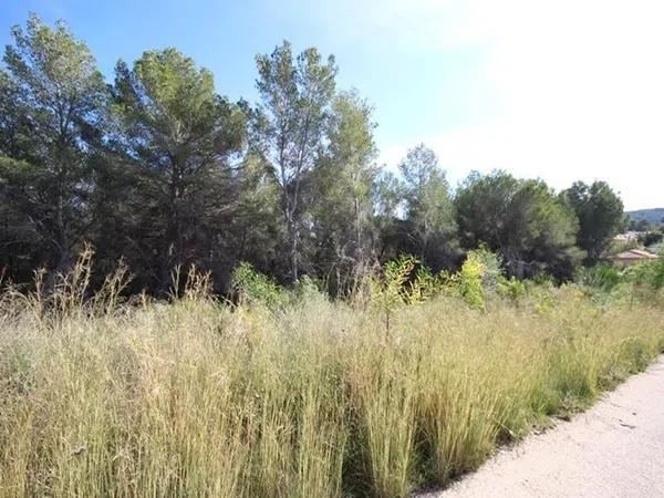 Terreno en Cap Martí - Pinomar photo 4